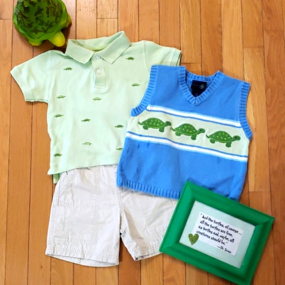 Cute Turtle Set
